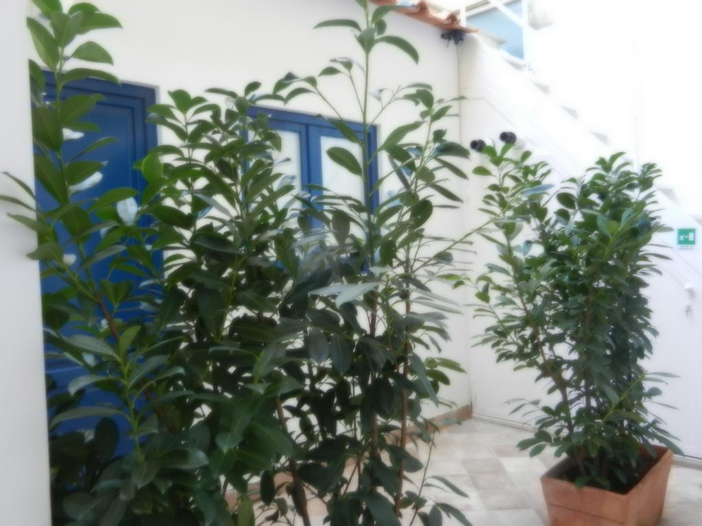 My Suite Sorrento Camera foto